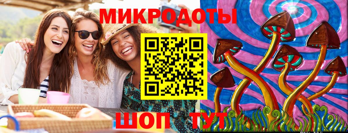 Псилоцибиновые грибы мицелий Медногорск