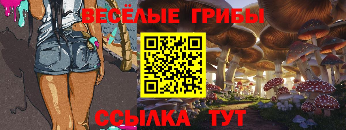 Медногорск  Псилоцибиновые грибы мицелий  Вход с VPN 